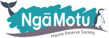 Ngāmotu Marine Reserve